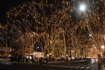 The winter illumination in Sendai