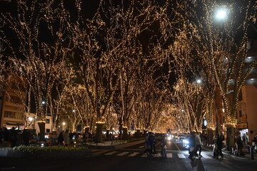The winter illumination in Sendai