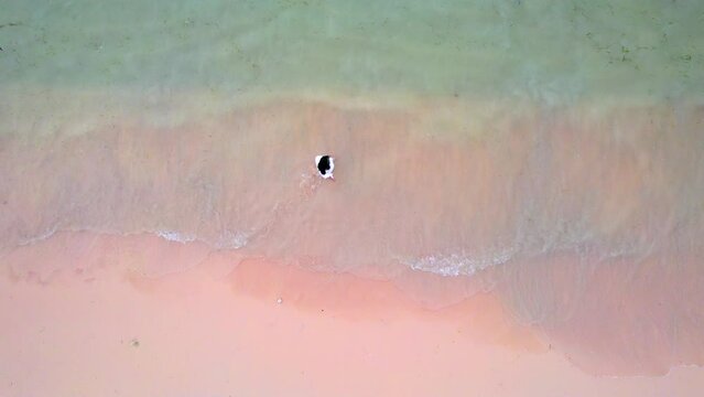 Pink Beach Lombok, tropical beach view from above. tourist enjoy the holiday at pink beach