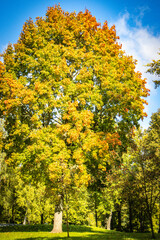 Obraz premium autumn landscape in bauska, latvia, baltic countries, baltics, europe
