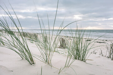 Strand an der Ostsee - obrazy, fototapety, plakaty