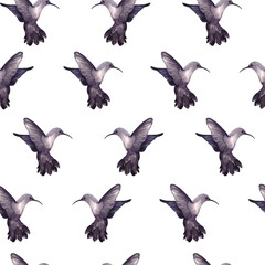 Watercolor pattern with realistic birds hummingbirds, birds of paradise. Romantic Illustration for design, print, fashion, fabric, wallpaper, web or background.