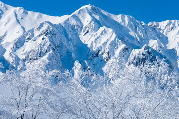 美しい冬山の風景
