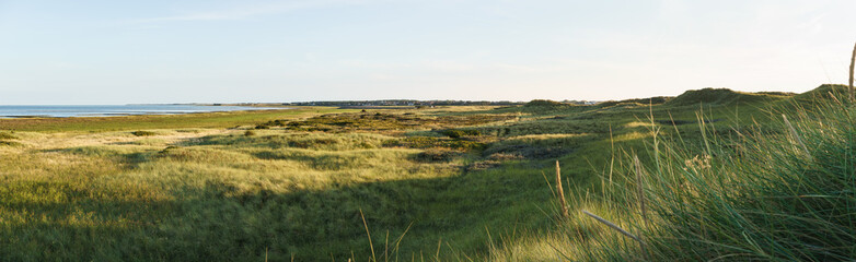 Dünen auf der Insel Amrum