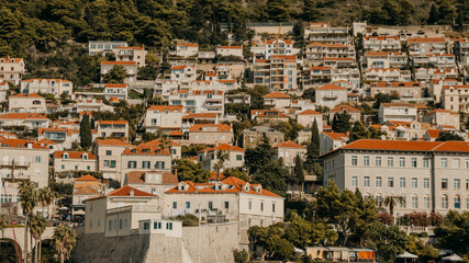 Fototapeta na wymiar Outside of the City Walls of Dubrovnik, Croatia