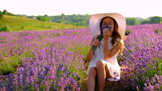 Child girl in flowers lavender field. Selective focus.
