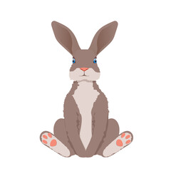 Cute cartoon rabbit sitting. Vctor illustrations isolated on white background