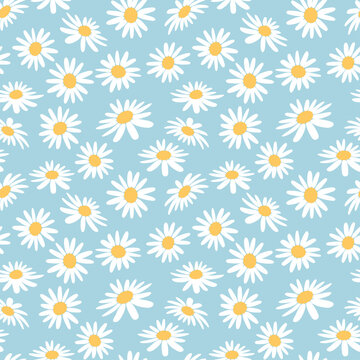 White daisies on blue background print. Floral daisy seamless pattern vector.