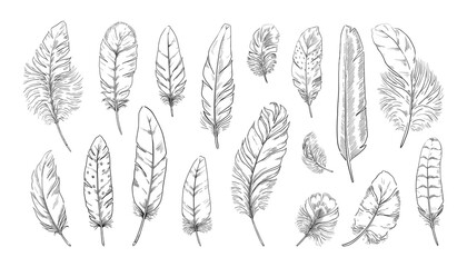 Hand drawn feather. Engraved quill tattoo. Ink writing pen vintage drawing. Old bird feathering silhouettes. Goose or swan weightless plume. Vector black and white plumage elements set © SpicyTruffel