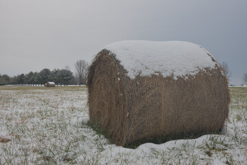 アメリカの馬牧場、積雪の寒さ