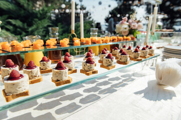 The closeup image of the various small cup cakes