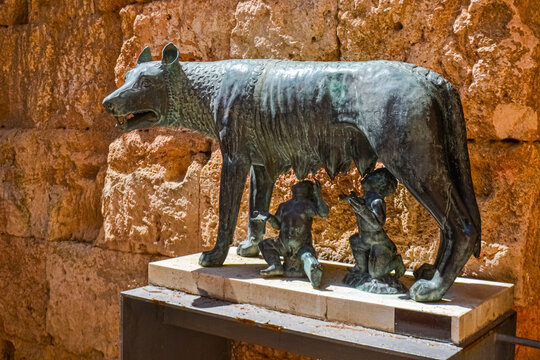 Capitoline Wolf in Tarragona, Spain. Part of The Archaeological Ensemble of Tarraco, declared a UNESCO