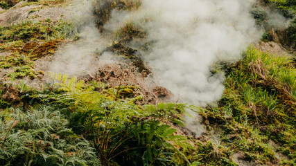Thermal Springs in Furnas, Azores, Portugal