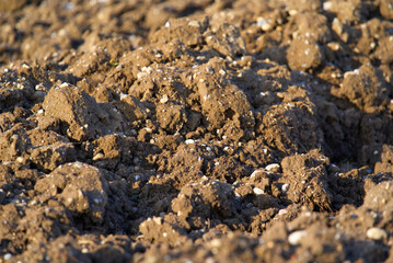 Close-up of agricultural field on a sunny winter day. Photo taken January 13th, 2022, Zurich, Switzerland.