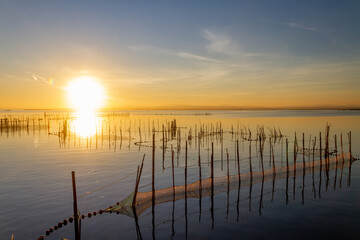 Landscape of La Albufera de Valencia in Spain at sunset with fishing nets in the foreground