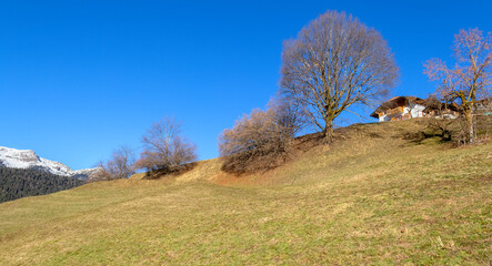 St Felix in South Tyrol