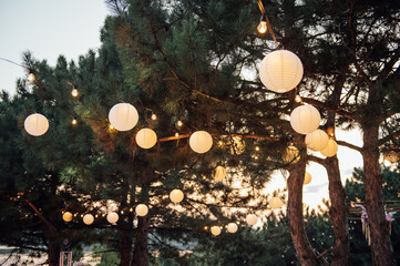 Decorative outdoor string lights hanging on tree in the garden at night time