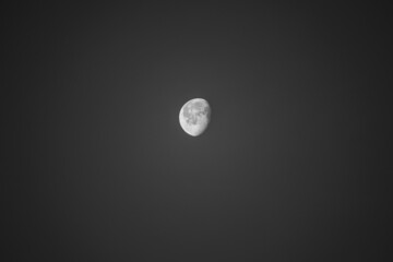Black and White Full moon