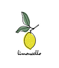 Vector card with hand drawn graceful lemon branch with fruit. Beautiful ink drawing, graphic style. Advertising and packaging design elements