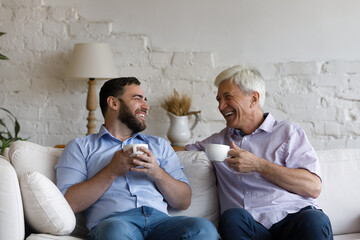 Cheerful senior grey haired 70s dad and adult grownup son drinking tea, talking, discussing family...