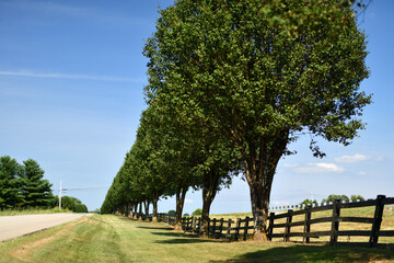 アメリカ田舎の郊外景色