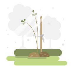 Vector illustration with young sapling, green stalk.