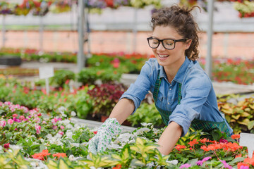 Fototapeta na wymiar Young woman entrepreneur working in a flower garden