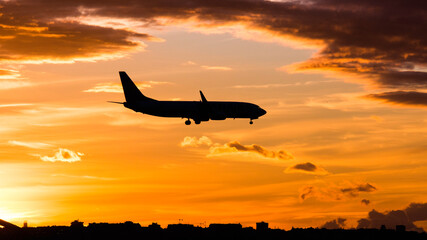 Fototapeta na wymiar A passenger plane lands at sunset. Has the landing gear lowered