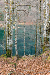 Vue sur le lac de Bethmale aux travers des arbres. Vue automnale. Ariège France