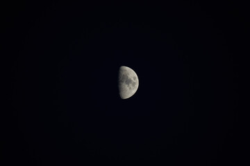 Half moon in a dark black sky