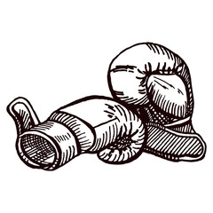 Boxing gloves sketch isolated. Sporting equipment for boxing in hand drawn style.
