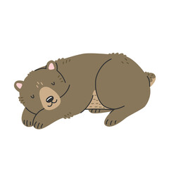 Sleeping cute brown bear in cartoon style. Vector isolated illustration with an animal.