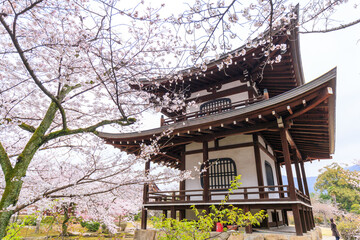 京都・勧修寺と桜