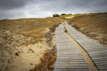 Obraz premium sand dunes on curonian spit, lithuania, nida, baltic countries, baltics, europe