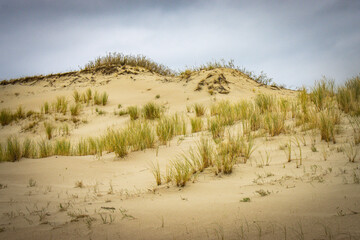 sand dunes on curonian spit, lithuania, nida, baltic countries, baltics, europe