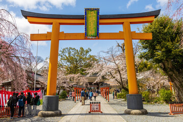 平野神社と桜