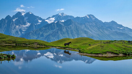 A horse grazing at the Koruldi Lake with a dream like view on the mountain range near Mestia in the...
