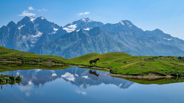 A horse grazing at the Koruldi Lake with a dream like view on the mountain range near Mestia in the Greater Caucasus Mountain Range, Upper Svaneti, Country of Georgia. Wildlife observation.