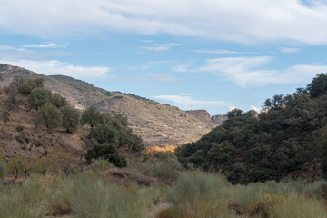 Fototapeta na wymiar mountainous landscape in the south of Granada in Spain