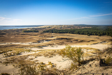 sand dunes near nida, curonian spit, lithuania, nida, baltic countries, baltics, europe