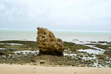 A Rock on rocky shore in Okinawa.