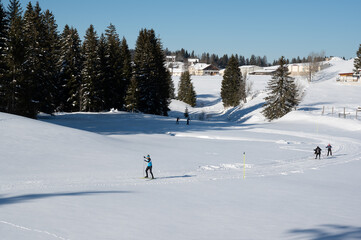 Ski de fond, neige et soleil dans le Haut Jura, Les Moussières, France