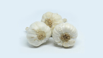 indian white garlic on white background