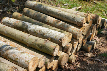Piles of wood from logging forests to be used as raw materials for furniture. Piles of round and square wood form patterns and textures.
