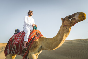 Arabian man with camel in the desert