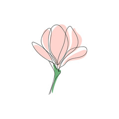 Cute abstract outline drawing of single blooming magnolia flower isolated on white background.Vector illustration.