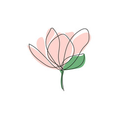 Cute outline drawing of single blooming magnolia flower.Vector illustration.
