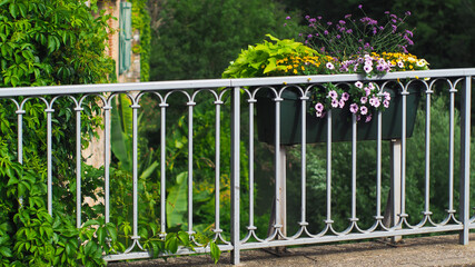 Bord de l'Aveyron, dans la ville de Saint-Antonin-Noble-Val, dans le Tarn-et-Garonne