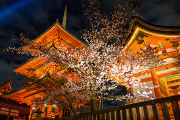 京都・清水寺と桜