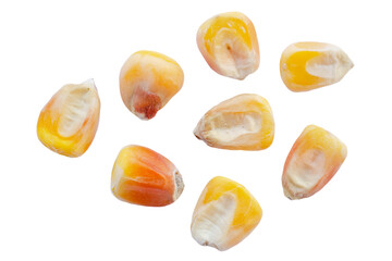 Corn grains isolated on white background, top view. Corn seeds isolated on white background. Yellow...